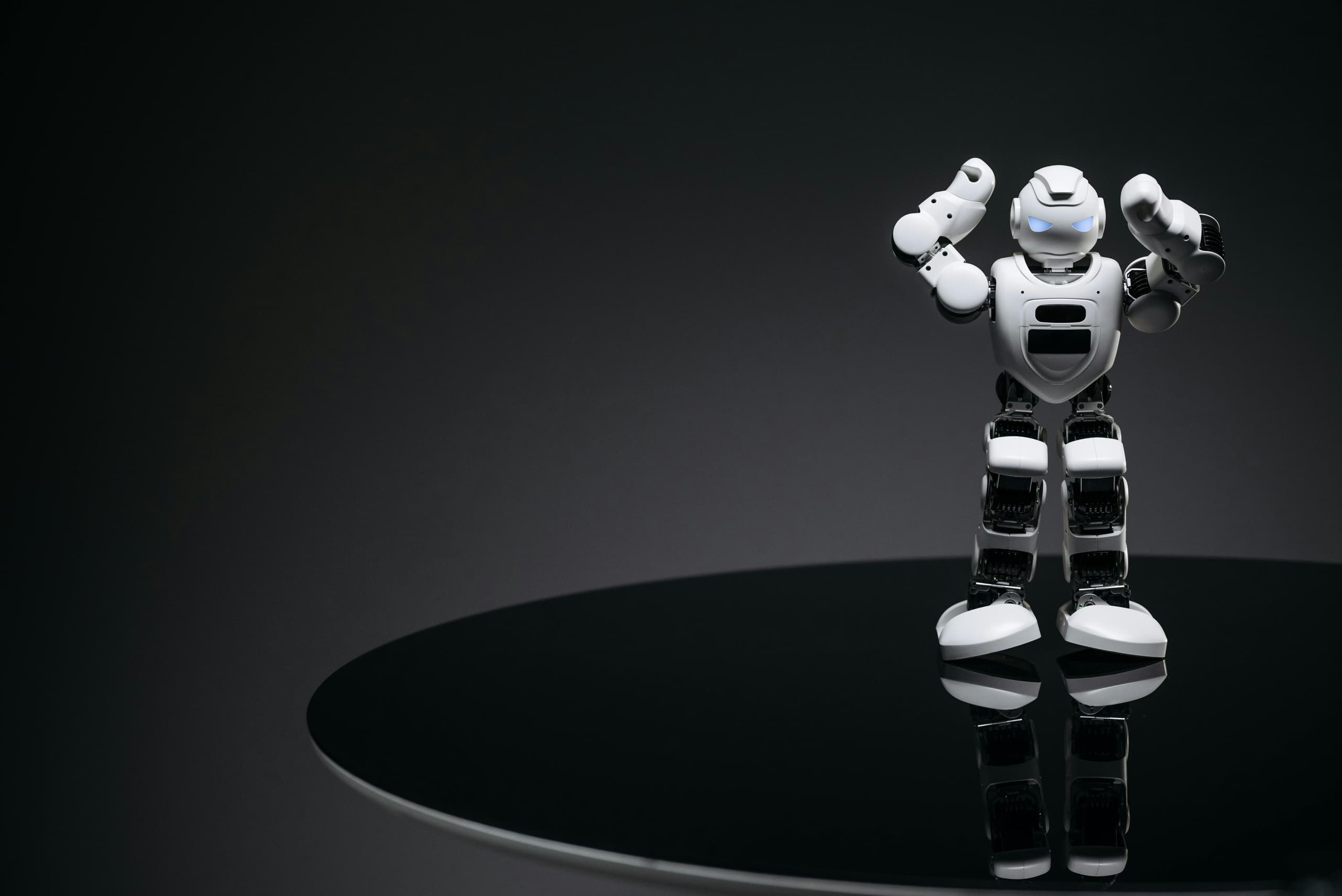 AI Consulting and Automation service